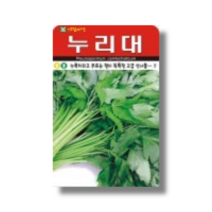 아람종묘 누리대 씨앗 20립 [22년포장] 누룩치씨앗 누룩치종자 산나물씨앗 산나물종자
