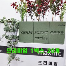 (샤인 몰) 오아시스 프리미엄 플로랄폼 20개 1박스 무료배송/꽃꽃이 스펀지