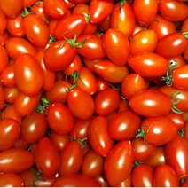 탱글탱글 대추방울토마토, 1box, 대추방울토마토 5kg 3-4번