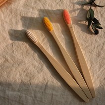 대나무 미세모 NPE 시즌2 부드러운 밤부 생분해 나무 제로웨이스트 칫솔 컬러, 블루