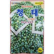 청태 콩씨앗/비타민C와 단백질이 풍부한 토종콩/동원/가람종묘사, 1개