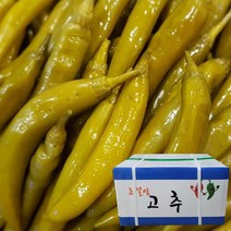 업소용 초절임 고추 9.5kg 1박스 장아찌 절임 고추피클 대용량, 초절임고추9.5kg- 1박스