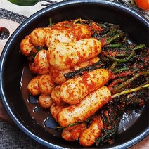 직접 담근 우리집 국내산 알타리 김치 총각김치, 1kg, 1개