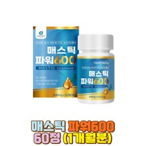 뉴트로웨이 매스틱 MAX600 그리스산 프락토올리고당 키오스 검 MASTICGUM 양배추 브로콜리 감초 회화나무열매 추출물 분말 가루 인스턴트 패스트푸드 자극적인 음식 뷸규칙식사 잦은 술자리 음주 회식 혼합유산균