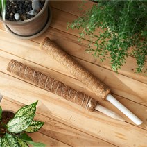 몬스테라 수태봉 수태 넝쿨 식물 지지대 코코넛봉 화초지지대 녹화마대 수태봉만들기, ss 2-수태봉-50cm, 1개