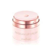 조성아 레이빔 업 크림 피치 볼륨 에디션 25g(SPF35+), 1개