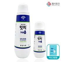 부채표 동화약품 잇치 가글 생약성분 잇몸 건강 가글액 치은염 충치 예방 무알콜 입냄새 구취 제거 프라그제거, 가글 250ml+750ml+헬시링크마스크1팩