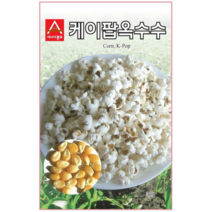 콩 옥수수 씨앗 강낭콩 작두콩 서리태 호랑이콩 종자 백태 땅콩 율무 녹두 팥 완두콩 씨, 7. 팝콘옥수수 20g