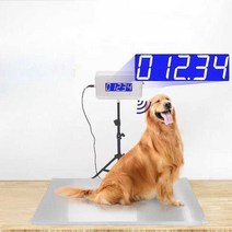 대형견 체중계 빅사이즈 반려동물 몸무게 측정 동물병원, 상세 페이지 참고, 304 스테인레스 스틸 50x80cm