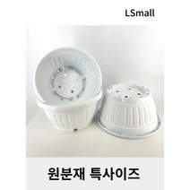 원분재 특사이즈 플라스틱 국화 화분