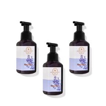 bath and body Works Lavender Vanilla Gentle and Clean Foaming 배쓰앤바디웍스 라벤더 바닐라 젠틀 앤 클린 포밍 핸드솝 259ml 3