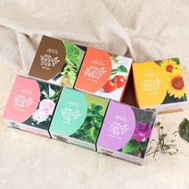 JAYART18_자연애 마이가든 식물 기르기 방울토마토키우기 미니키우기 해바라기키우기 강낭콩키우기 허브바질키우기 초보용키우기 봉선화키우기+jac230126, (주)제이아트co_해바라기