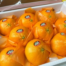 제주도 레드향 선물용 가정용 3kg 5kg 10kg 고당도 제주 감귤 명절 설 선물세트, 3kg (가정용 혼합과)
