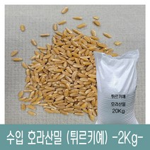 [다온농산] 수입 호라산밀 -20Kg- 품질 좋고 저렴한 튀르키예산, 1개