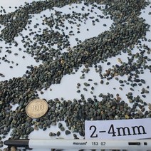 자갈공명 어항자연흑사 4kg 어항바닥재 구피바닥재 모래