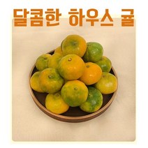 고당도 선별 서귀포 하우스 감귤 2kg 먹기좋은크기, 로얄소과(2S)