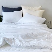 알러지케어 먼지없는 차렵이불+침대패드+베개커버 세트 퀸 Q