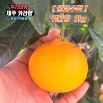 당일수확 고당도 제주 카라향 가정용 3kg 5kg 10kg 제주도귤, 선택2. 혼합과_상품 3kg, 1개