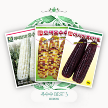 흥농상사 찰옥수수 씨앗 3종세트
