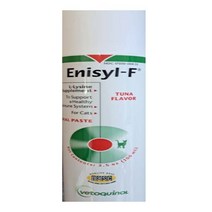 베토퀴놀 바이랄리스 애니실 F 100ml 고양이 엘라이신 영양제, 고양이 애니실 F