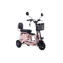 삼륜 전동 스쿠터 3발 바이크 전기오토바이 세발 노인, 48V, 8A 30km 주행