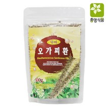 단비식품 오가피환, 300g, 1개
