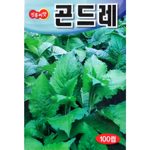 곤드레씨앗100립 산채 진흥종묘