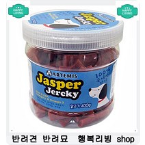 자가격리 필요한 애완동물 혼자노는 장난감 애완동물용품 반려견장난감 반려용품