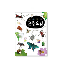 곤충도감 관찰책 초등학교 교구, 상세페이지 참조