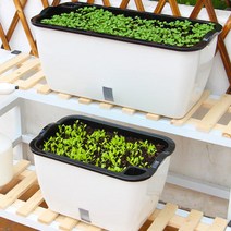 자동급수 식물 재배기 플라스틱 텃밭 상자 대파 저면관수 베란다 옥상 화분 대형 15L 소형 10L