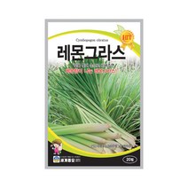 레몬그라스 20립 허브씨앗 레몬향 다년초 열대 아시아, 1개