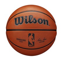WILSON NBA 어센틱 시리즈 농구공 - 아웃도어 사이즈 15.2~72.4cm(6~28.5인치), Outdoor, Size 5 - 27.5