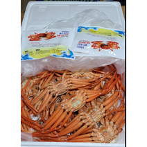 동해안후포 홍게 대 중 소, 소 10마리, 소8~10cm