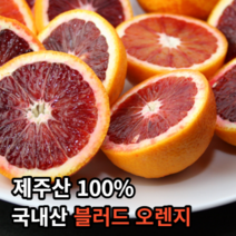 [제주산토종오렌지] 국내산 제주 고당도 모로 블러드 오렌지 3kg 혼합과