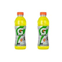 롯데칠성음료 게토레이 레몬 스포츠음료 운동전후 탕비 간식 티타임 음료 식음료 오피스 미팅 600ml, 2개