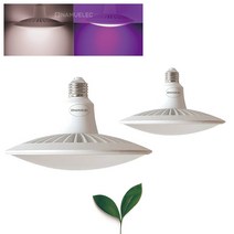빛솔 LED 식물등 30W 식물생장 재배등 엘이디램프 다육이전구, 선택안함, 백색(아이보리빛)