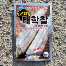 찰옥수수종자/대학찰옥수수( 80립 정품)