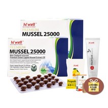 하이웰 프리미엄 초록홍합오일 25000mg 뉴질랜드초록홍합 그린머슬 글루코사민 콘드로이친 크릴오일 함유, 100캡슐, 2박스+추가상품