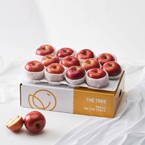팜커머스 사과세트 5kg 18-24과, 단품