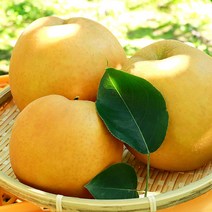 나주배 신고배 못난이 가정용 15kg, 가정용 배 15kg 26-30과