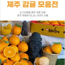 제주 조생 노지감귤 서귀포 중대과 로얄과 꼬마과 5kg 10kg 비타민 가족간식 아이간식 후식과일 배송혜택 리뷰추첨, 로얄과10kg