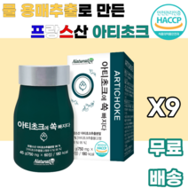 아티초크 추출분말 ARTICHOKE 프랑스산 유기농 물용매추출 귀족채소 진공농축 저온살균 스프레이건조 남녀노소 누구나 먹기편한 여성 여자 학생 대학생 여대생 부모님 꽃봉우리, 9박스, 60정