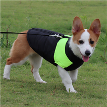 (보경샵) 강아지 겨울옷 반려동물패딩점퍼 애견 소형견 중형견 대형견 진돗개 방수 경량 패딩조끼 반려견과의 따뜻한 겨울 4칼라 6사이즈 구성 L XL 2XL 3XL 4XL 5XL, 레드