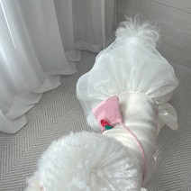 그루밍독 반려동물 베이직 무지 이너 튜튜 드레스, 아이보리