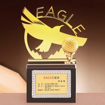 골프트로피 이벤트트로피 태권도트로피 DS10452-2