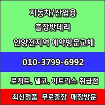 과천배터리 레이 교체--중앙동 원문동 별양동 문원동 갈현동 주암동 과천동 서울대공원