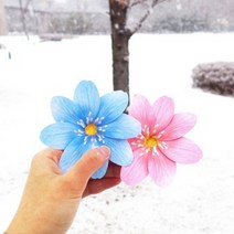 노루귀 카드 Hepatica asiatica Card (코랄)분홍 디자인문구/편지/카드/카드/디자인카드