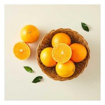 [가락시장] 제주 황금향(1kg내외/6~9입)