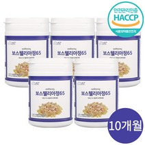 프리미엄 보스웰리아 인도산 고농축 보스웰릭산 65% 함유 HACCP 인증 사은품 증정, 보스웰리아 5통 10개월분
