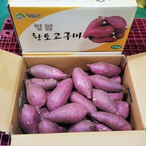고구마영암명품 황종복 연지 꿀고구마 5/10kg 품질엄선, 【황종복】연지 꿀고구마10kg(쫄/한입)